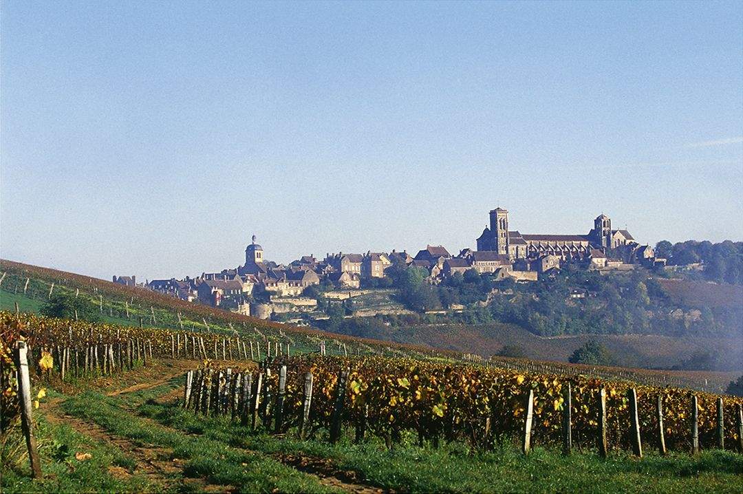 Route des Grands Crus dans l'Yonne· Route des Vins de Bourgogne proche de l'Auberge de la Beursaudière